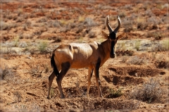 suedafrika_2019_0073