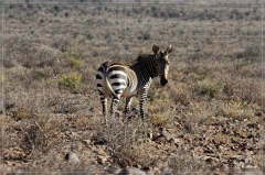 suedafrika_2019_0076