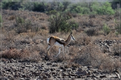 suedafrika_2019_0077