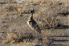 suedafrika_2019_0078