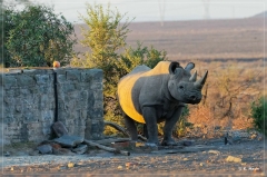 suedafrika_2019_0090