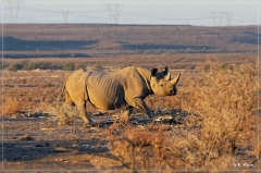 suedafrika_2019_0091