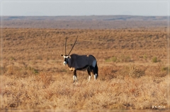 suedafrika_2019_0093