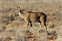 suedafrika_2019_0095