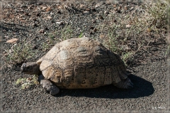 suedafrika_2019_0097