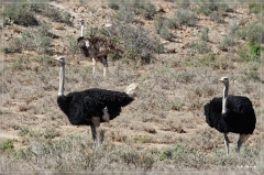 suedafrika_2019_0099