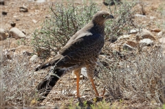 suedafrika_2019_0104