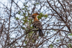 suedafrika_2019_0121