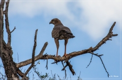 suedafrika_2019_0122