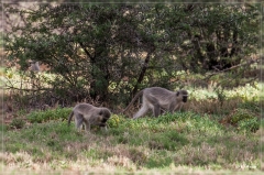 suedafrika_2019_0127