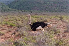 suedafrika_2019_0129