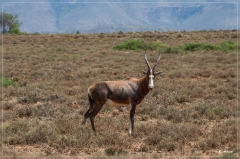 suedafrika_2019_0138