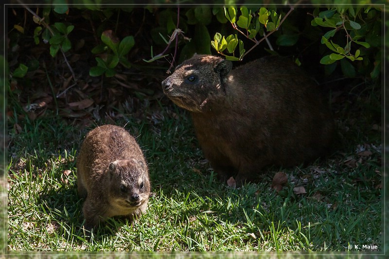 suedafrika_2019_0480.jpg