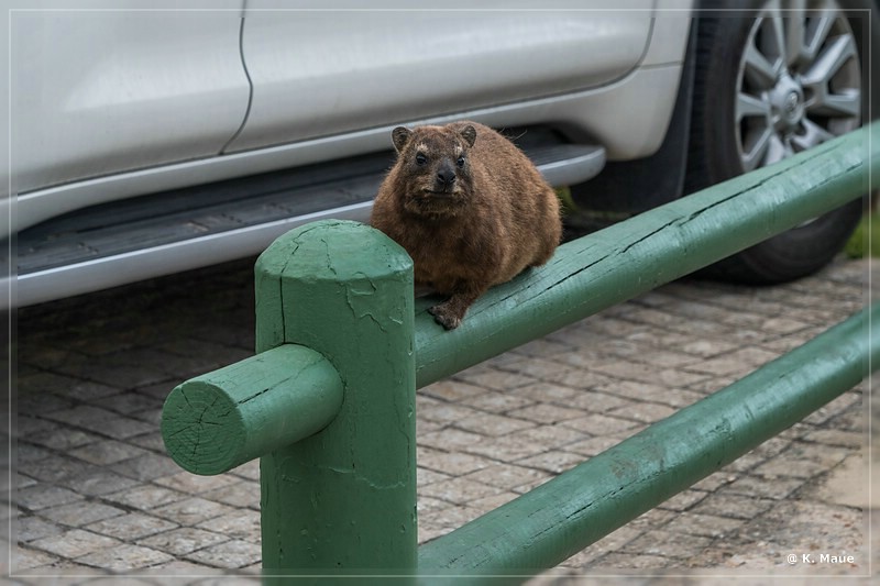 suedafrika_2019_0508.jpg