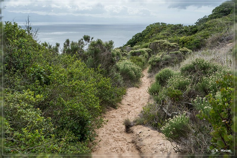 suedafrika_2019_0552.jpg