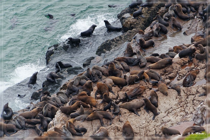 suedafrika_2019_0554.jpg