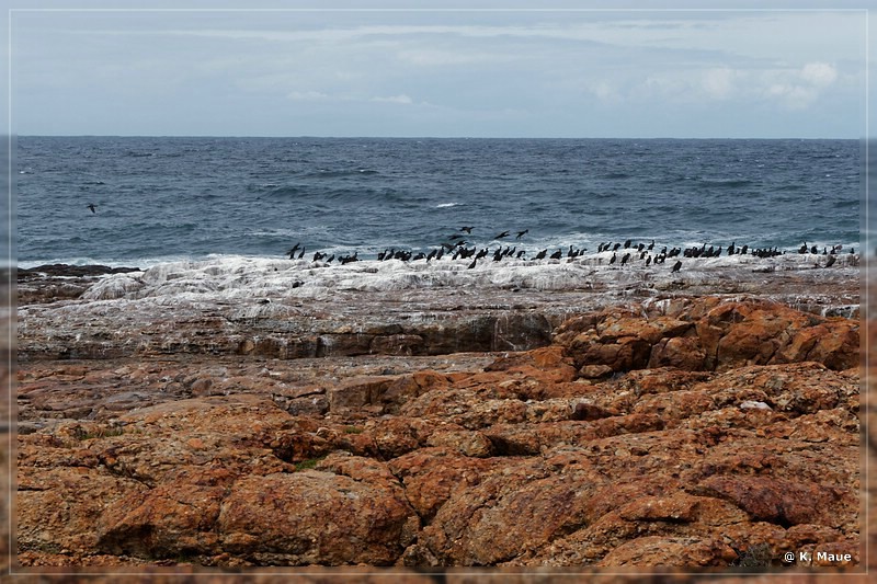 suedafrika_2019_0566.jpg