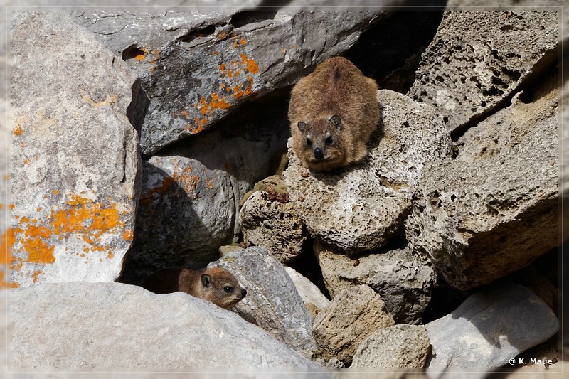 suedafrika_2019_0570.jpg