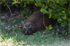 suedafrika_2019_0479