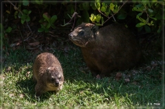 suedafrika_2019_0480