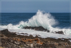 suedafrika_2019_0481