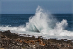 suedafrika_2019_0482