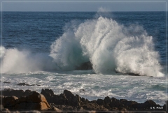 suedafrika_2019_0484