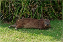 suedafrika_2019_0518