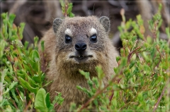 suedafrika_2019_0545