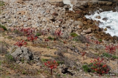 suedafrika_2019_0580