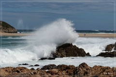 suedafrika_2019_0585