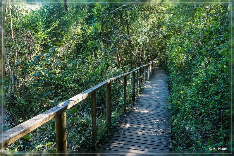 suedafrika_2019_0618.jpg