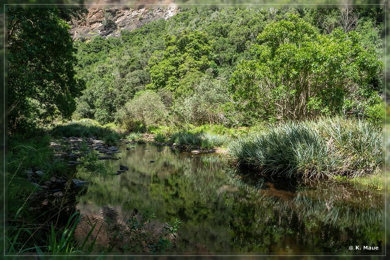 suedafrika_2019_0623.jpg