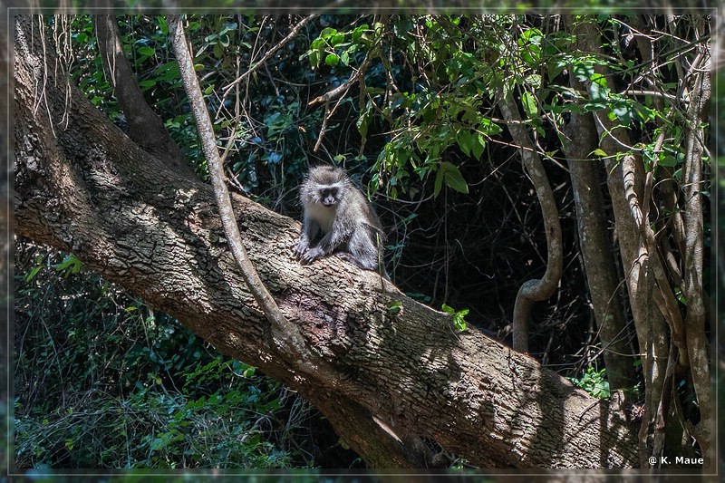 suedafrika_2019_0627.jpg