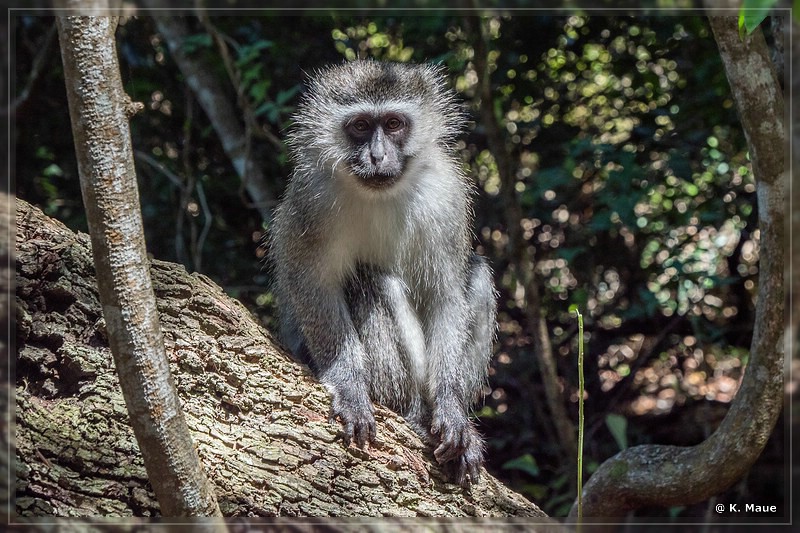 suedafrika_2019_0628.jpg