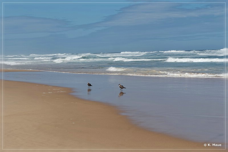 suedafrika_2019_0641.jpg