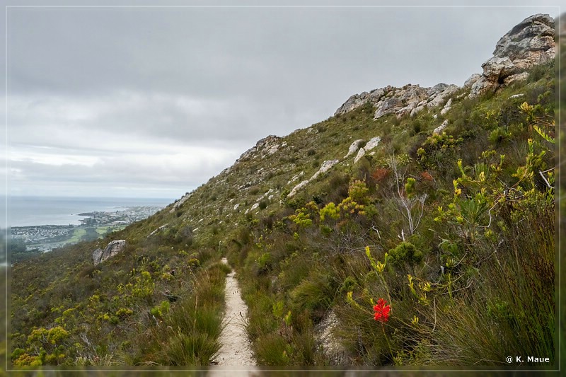 suedafrika_2019_0676.jpg