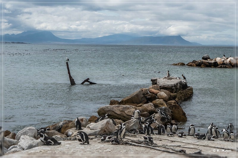 suedafrika_2019_0681.jpg