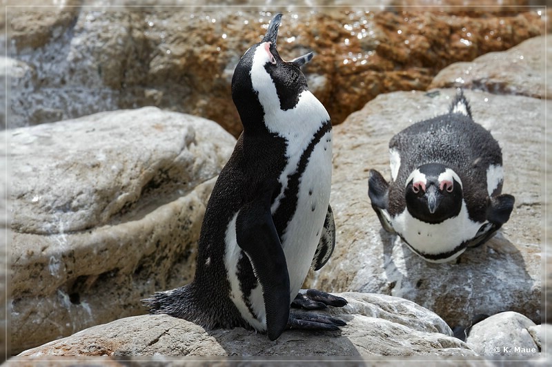 suedafrika_2019_0684.jpg