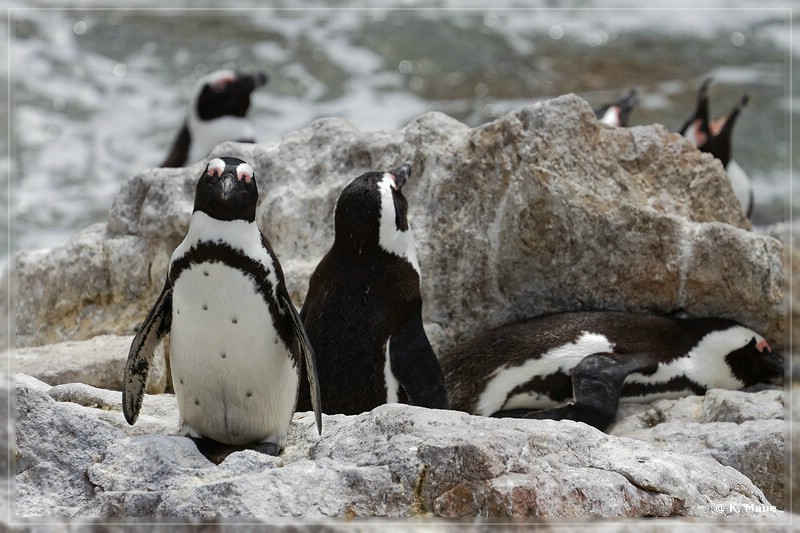 suedafrika_2019_0687.jpg