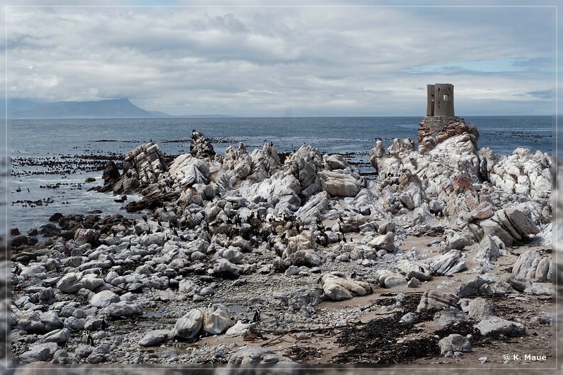 suedafrika_2019_0692.jpg