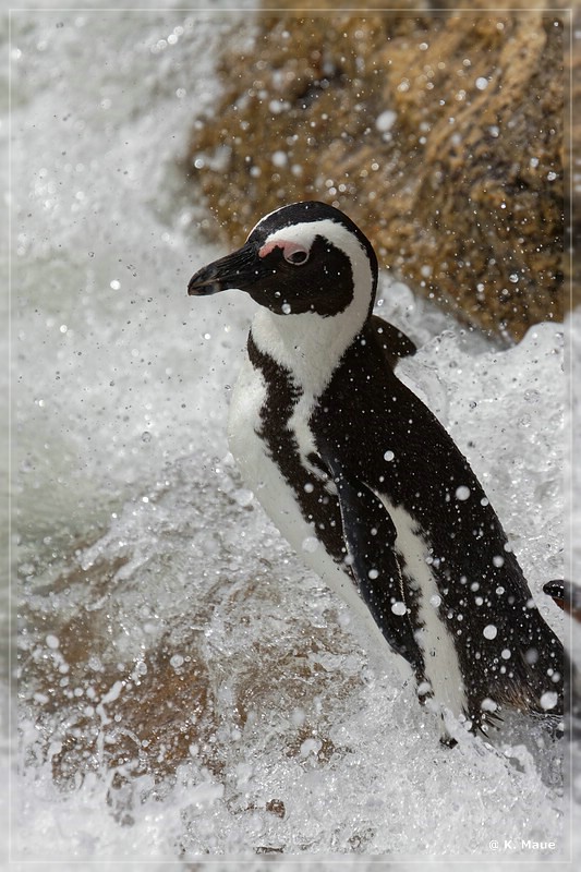 suedafrika_2019_0702.jpg