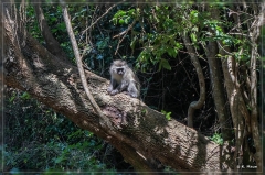 suedafrika_2019_0627