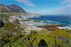 suedafrika_2019_0665