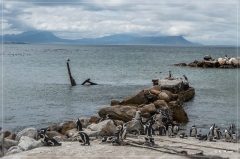 suedafrika_2019_0681