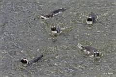 suedafrika_2019_0690