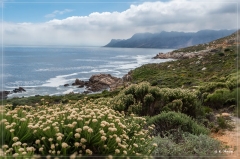 suedafrika_2019_0705