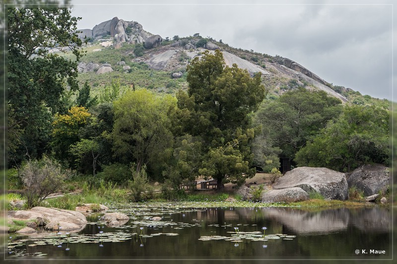 suedafrika_2019_0015.jpg