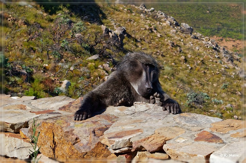 suedafrika_2019_0031.jpg