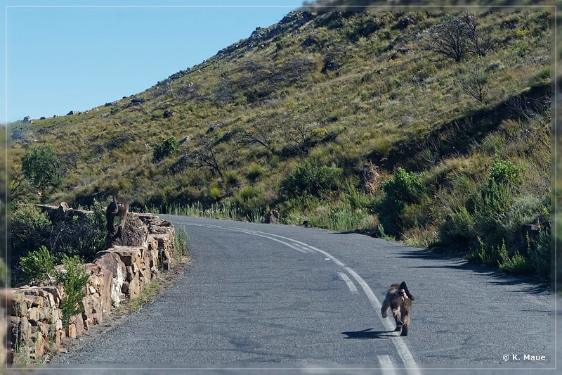 suedafrika_2019_0036.jpg